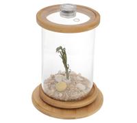 Levemolo Decorative Desktop Fish Bowl Aquarium Tank with Led Light Tempered Glass Micro Ecosystem Bottle for Office Home Aquatic Plants Fish Habitat
