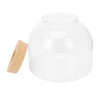Levemolo Glass Ecological Bottle for Micro Landscape with Cork Stopper, Easy to Clean and Beautifies House, Suitable for Moss and Plants in Bedroom or Living Room Decor