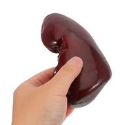Levemolo Realistic Pig Kidney Food Model Halloween Fake Kidney Scary Organ Prop for Cosplay Pranks Dollhouse Stage Performances and Haunted House Decorations