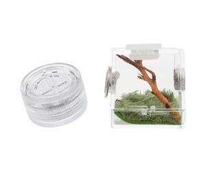 Levemolo Spider Habitat Box with Humidifier and Feeding Port, Mini Jumping Spider Carrier for Small Pets Like Beetles and Tarantulas, Acrylic Insect Enclosure