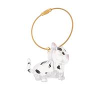 Levemolo Transparent Cat Hair Keepsake Container Lightweight Portable Memorial Capsule Keychain for Pet Hair Storage Organizer Home Travel Use