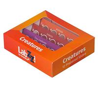 Levenhuk LabZZ C12 Creatures Kids Educational Prepared Microscope Sample Slides Set of 12 Animal and Insect Specimens for Children with Curiosity for Entomology and Zoology