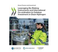 Leveraging De-Risking Instruments and International Co-ordination to Catalyse Investment in Clean Hydrogen