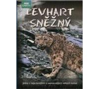 Levhart snezny BBC (Snow Leopard)