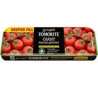 Levington Tomorite Giant Planter