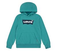 Hoodie Green