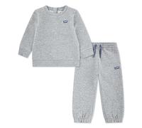 Levi's Core Batwing Crewneck and Jogger Pants 2-Piece Set Boys Grey