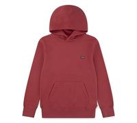 Levi's Kids Mini Batwing Hoodie Hooded Sweatshirt