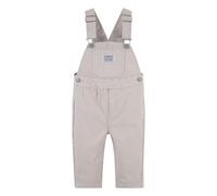 Levi's Lvn Railroad Stripe Overall