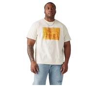 Levi's Men's Big & Tall SS Relaxed Fit Tee T-Shirt, Plus Archival 2hp Pa, XXL