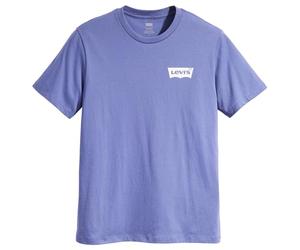 Levi's Men's Graphic Crewneck Tee T-Shirt, Batwing Coastal Fjord, M