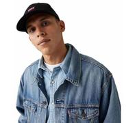 Levi's Men's Housemark Flexfit Cap Cap