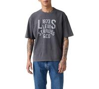 Levi's Men's Lockwood Practice Tee T-Shirt, Two Horse Jersey PHA, M