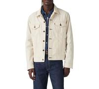 Levi's Men's The Trucker Jacket, LONGING for Summer, M