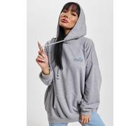 Levi's Women's Hooded Sweatshirt PL GRAPHIC PRISM HOODIE, Grey, 3X (EU 52-54)