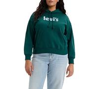 Levi's Women's Plus Size Graphic STNDRD Hoodie, Greens, 3 X, Greens, 3XL