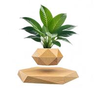 Levitating Air Bonsai Pot,Levitating Plant Pot, Bonsai Pot, Unique Decor Air Plant Pot, for Office Home Decoration,3 colors (YELLOW)