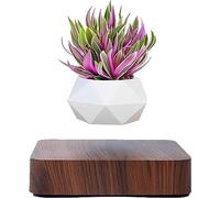 Levitating Air Bonsai Pot, Rotation Flower Pot Planters, Magnetic Levitation Suspension Floating Pot, Potted Plant Home Desk Decor in Flower Pots & Planters from Home & Garden on (Dark Color)