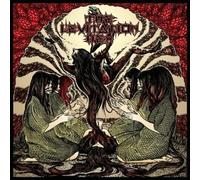 Levitation Hex, The - The Levitation Hex