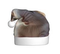 LEVNDIEJ Guinea Pig Santa Hats Adult,Christmas Hat,Holiday For Unisexxmas Hat For New Year Festive Party