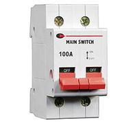 Lewden 1002P - 100A 2P / Double Pole Main Switch