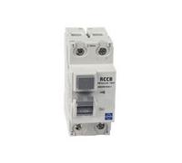 Lewden 100A 2 Pole RCD, 100mA Type A, Selective Time Delay, DIN Rail Mount