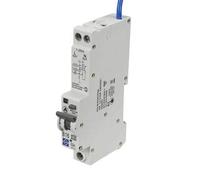 Lewden 16A Double Pole 1 Module B Curve 6kA 30mA AFDD Combined RCBO - P04-B16-30-1PNA