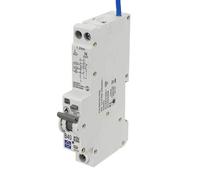 Lewden 40A Double Pole 1 Module B Curve 6kA 30mA AFDD Combined RCBO - P04-B40-30-1PNA