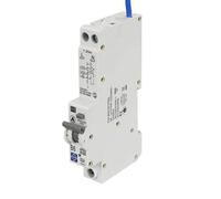 Lewden 6A Double Pole 1 Module B Curve 6kA 30mA AFDD Combined RCBO - P04-B06-30-1PNA