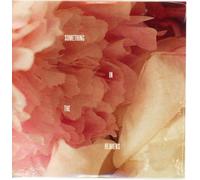 Lewis Capaldi - Lewis Capaldi - Something in the Heavens / Survive - Single