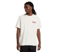 Dickies T shirt LEWISTOWN SS TEE in White EU XL