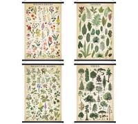 Lewtemi 4 Pcs Vintage Botanical Wall Art: Wildflowers, Leaves, Trees & Herbs - Unframed Poster Prints for Classroom, 15.35 x 23.62 Inch