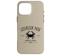 Lexington Park in Southern Maryland Est 1943 Case for iPhone 16 Pro Max