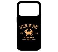 Lexington Park in Southern Maryland Est 1943 Case for iPhone 17 Pro