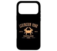 Lexington Park in Southern Maryland Est 1943 Case for iPhone 17 Pro Max
