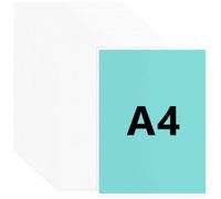 LEXININ 80 Pack A4 Cut Flush File Folders, A4 Clear Plastic Open Top and Side Sleeves for Office