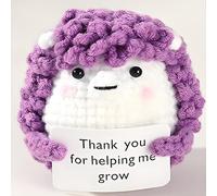 Leyiteng Presents For Teachers,Thank You Teacher Gifts,Thank You For Helping Me Grow,Unique Mentor Gift Ideas, Perfect Professor Tutor Assistant Gifts for Women MEN