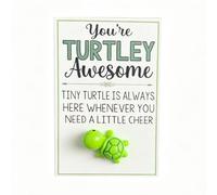 Leyiteng Tortoise Gifts,Motivational Gifts,Turtle Gift,