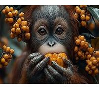 LEYIUYIU DIY Diamond Painting for Adults Children Beginners 5D Leisure Creative Painting Set for Home Wall Decoration - Monkey Animals - 40x50cm