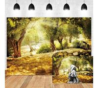 Leyiyi 10x6.5ft Natural Scenery Backdrop Olive Trees Sunshine Wonderland Dreamy Haze Blurred Background Stone Natural Forest Landscape Video Photo Studio Prop