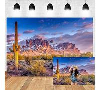 Leyiyi 12x8ft Arazona Mountain Cactus Desert Photography Background Sunset Summit Western American Travel Hiking Desert Flora Cloud Desolate Cowboy Photo Portrait Vinyl Studio Video Shooting Prop