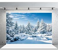 Leyiyi 5x3ft Photography Background Snow Covered Mountain Backdrop Cold Winter Pine Forest Sunlight Merry Christmas Happy New Year Alps Blue Sky Cloud Photo Portrait Vinyl Studio Video Prop