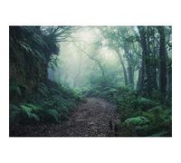 Leyiyi 6x4ft Jungle Forest Backdrop Misty Forest Old Trees Dirt Road Path Backdrops for Photography Wild One VBS Themed Safari Party Kids Adults Vinyl Shoot Studio Props