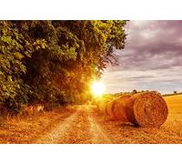 Leyiyi 6x4ft Photography Backgroud Haystock Backdrop Thanksgiving Western Town Farmland Agriculture Sunset Piles Countryside Harvest Autumn Woodland Trees Cowboy Photo Portrait Vinyl Studio Prop