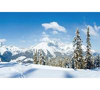 Leyiyi 7x5ft Enchanted Winter Forest Backdrop Snow Covered Mountain Woodland Pine Trees Winter Camping Skiing Hiking Photography Backgroud Merry Christmas New Year Photo Studio Prop Vinyl Wallpaper