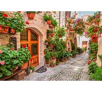 Leyiyi 7x5ft Italian Town Street Ally Backdrop Spring Flowers Blossom Medieval Architecture Summer Holiday Travel Europe Photo Background Children Baby Adults Wedding Portrait Shoot Studio Vinyl Prop