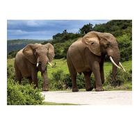 Leyiyi 8x5ft Photography Background Thailand Elephant Backdrop Safari Hunting Happy Birthday Party Countryside Mountain Road African Tourism Destination Spring Photo Portrait Vinyl Studio Video Prop