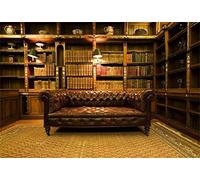 Leyiyi 8x6.5ft Photography Background Vintage Study Backdrop Royal Luxury Shelf Frame Office 3D Carpet Leather Sofa Retro Castle Hardcover Books Antique Curio Lantern Photo Portrait Vinyl Studio Prop