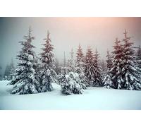 Leyiyi 8x6ft Enchanted Winter Forest Backdrop Snow Covered Woodland Pine Trees Russia Travel Cold Weather Landscape Photography Background Merry Christmas New Year Photo Studio Prop Vinyl Wallpaper