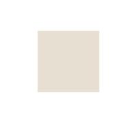 Leyland High Gloss Shades of Neutral Neutral: Focus (PPG1008-1), Paint Shades of Neutral High Gloss